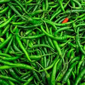 Green Chillies